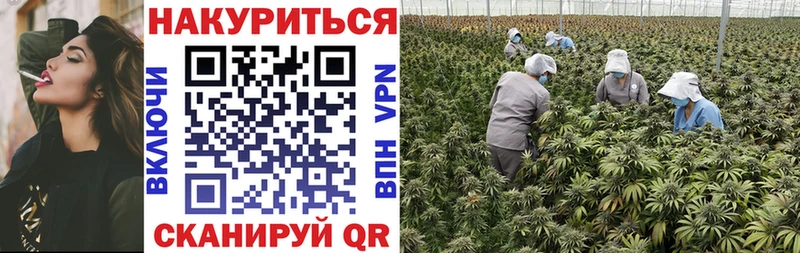Конопля SATIVA & INDICA  Купить закладки  Томари 
